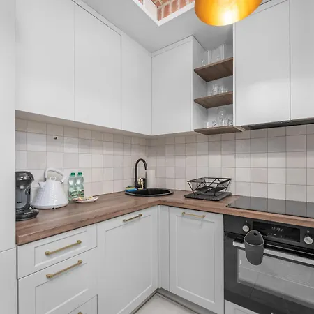 Apartment Limanowskiego Modern Loft By Bookinghost